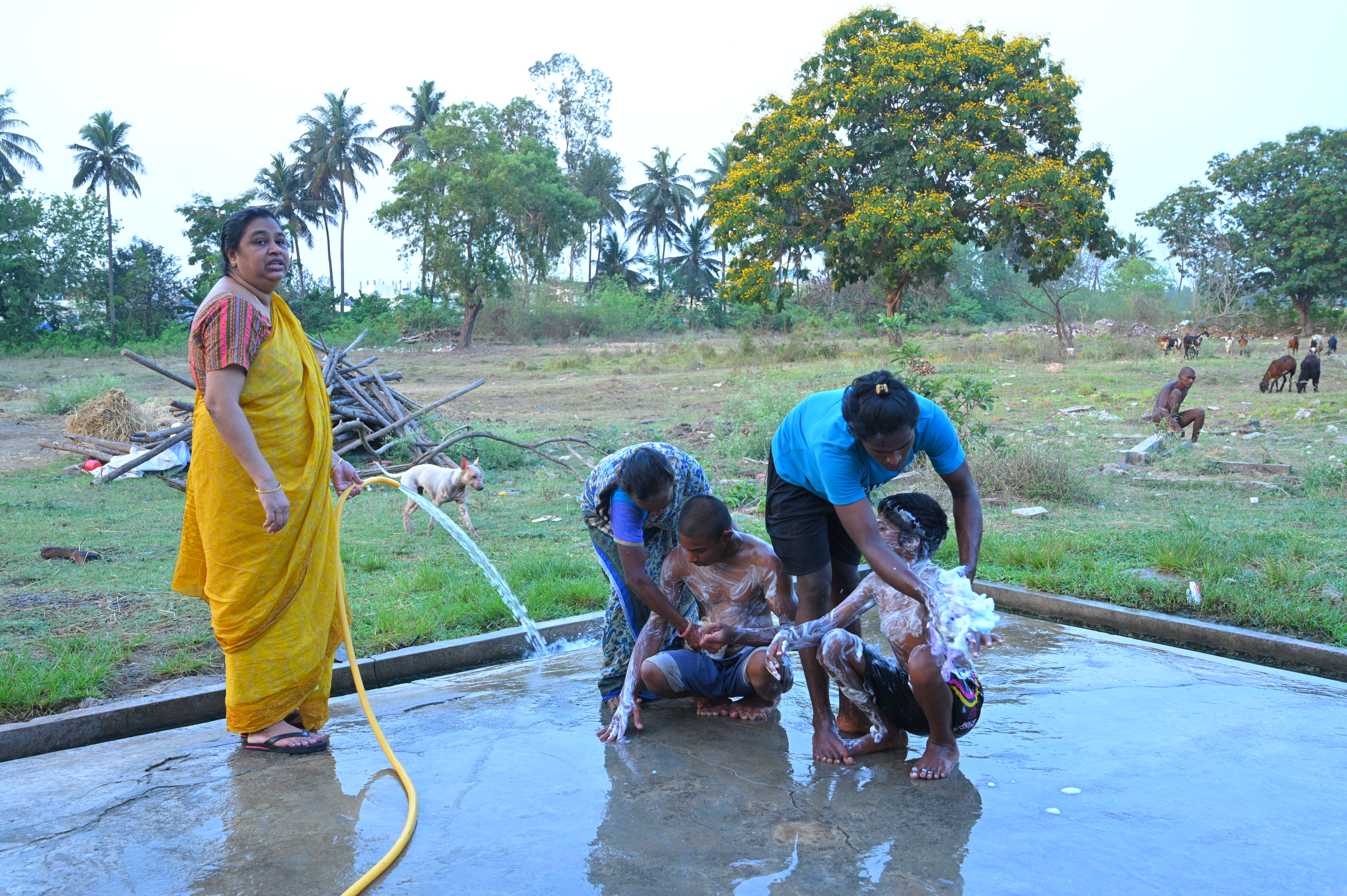Daily Hygiene & Bathing